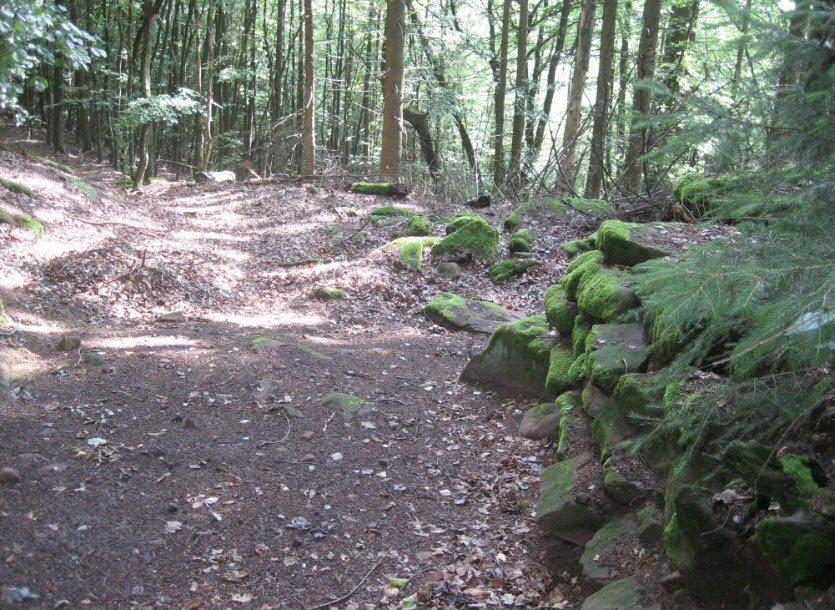 Burgstelle Alt-Scharfeneck, Frankweiler, Germany, Germany